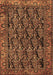 Persian Brown Traditional Rug, tr551brn