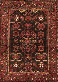 Persian Brown Traditional Rug, tr552brn