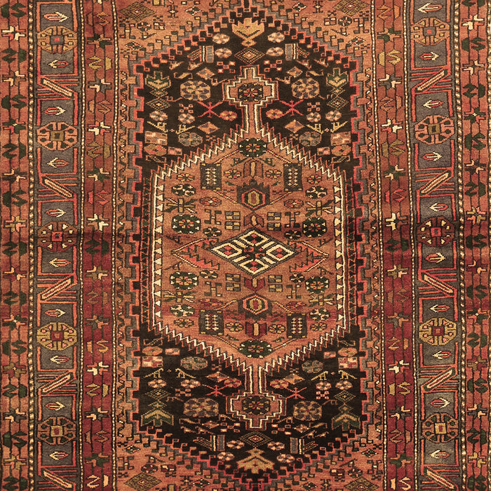 Machine Washable Persian Brown Traditional Rug, wshtr553brn