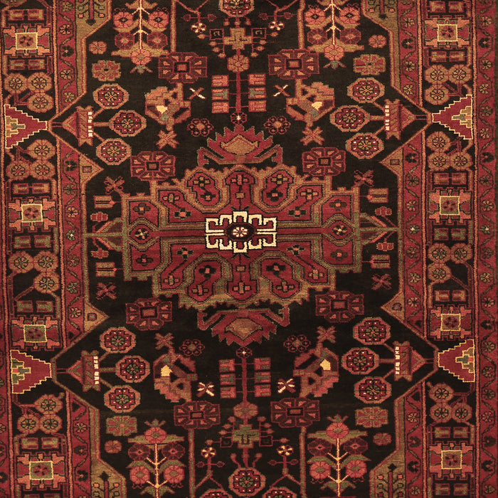Persian Brown Traditional Rug, tr554brn