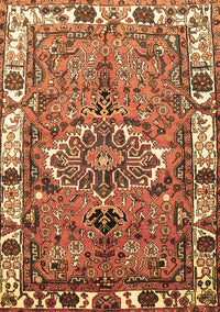 Persian Brown Traditional Rug, tr555brn