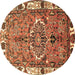 Round Machine Washable Persian Brown Traditional Rug, wshtr555brn