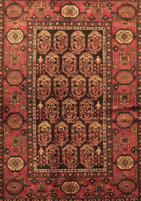 Persian Brown Traditional Rug, tr556brn