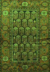 Persian Green Traditional Rug, tr556grn