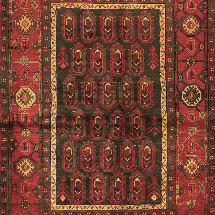 Machine Washable Persian Brown Traditional Rug, wshtr557brn