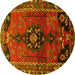 Round Persian Yellow Traditional Rug, tr559yw