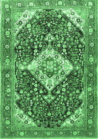 Medallion Emerald Green Traditional Rug, tr561emgrn