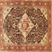 Square Medallion Brown Traditional Rug, tr561brn