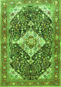 Medallion Green Traditional Rug, tr561grn