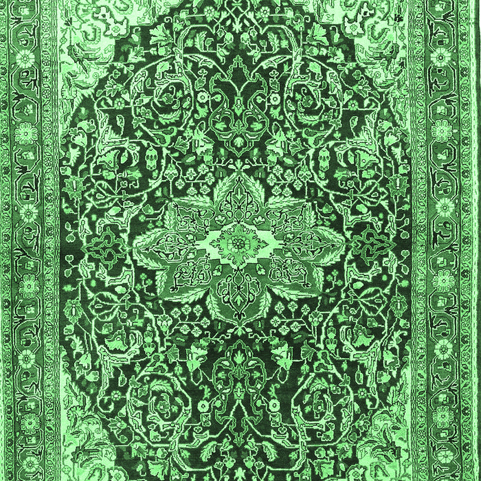 Medallion Emerald Green Traditional Rug, tr563emgrn