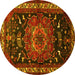 Round Persian Yellow Traditional Rug, tr564yw