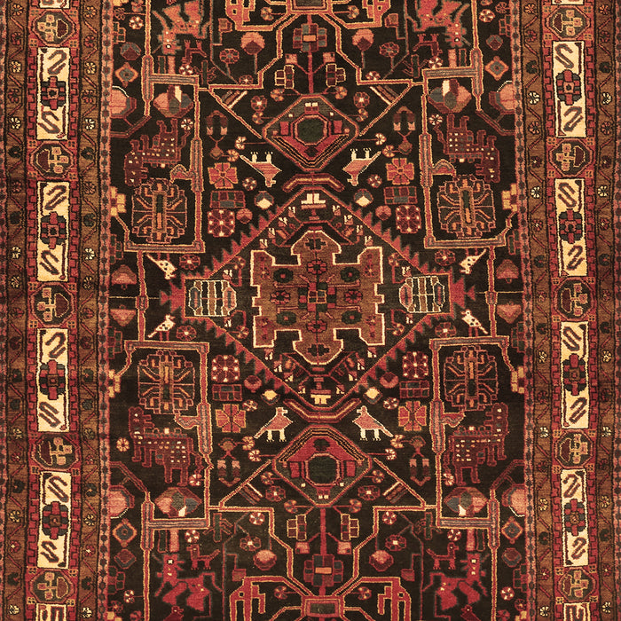 Machine Washable Animal Brown Traditional Rug, wshtr565brn