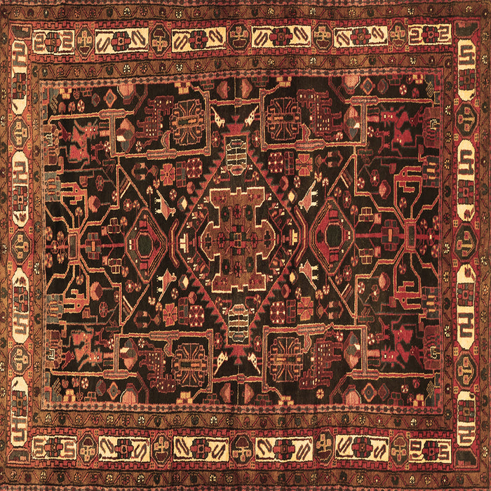 Square Animal Brown Traditional Rug, tr565brn