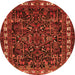 Square Animal Orange Traditional Rug, tr565org