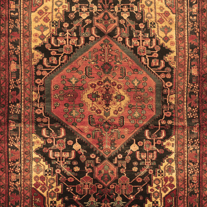 Machine Washable Persian Brown Traditional Rug, wshtr566brn