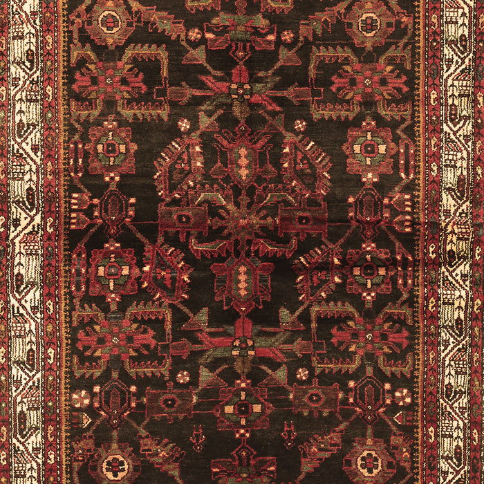 Machine Washable Persian Brown Traditional Rug, wshtr567brn
