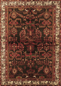 Persian Brown Traditional Rug, tr567brn