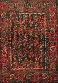 Persian Brown Traditional Rug, tr569brn