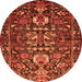 Square Animal Orange Traditional Rug, tr570org