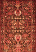 Animal Orange Traditional Rug, tr570org