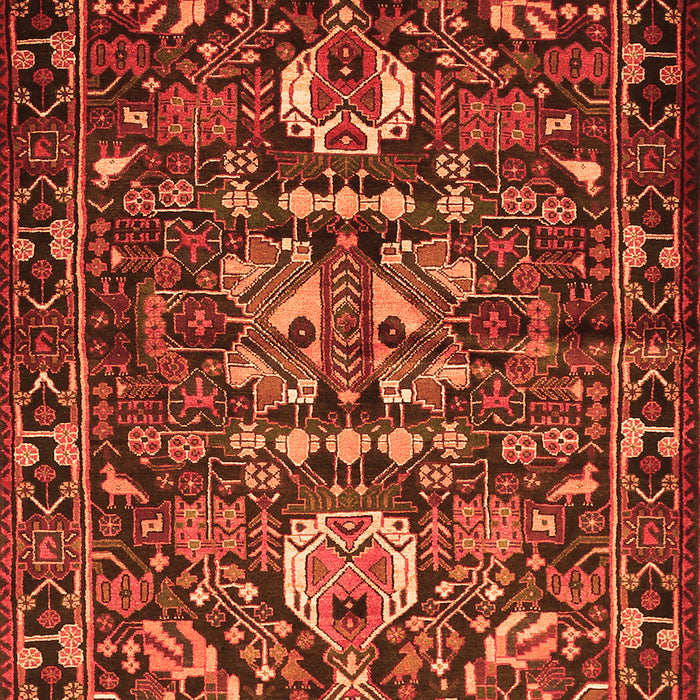 Animal Orange Traditional Rug, tr570org