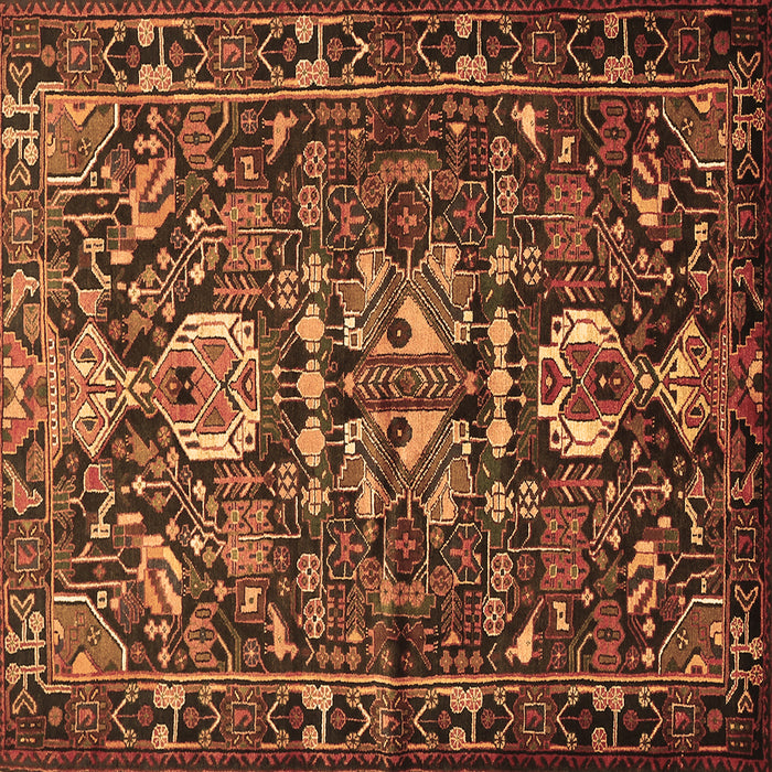 Square Machine Washable Animal Brown Traditional Rug, wshtr570brn