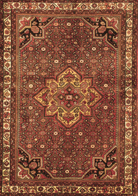 Persian Brown Traditional Rug, tr571brn