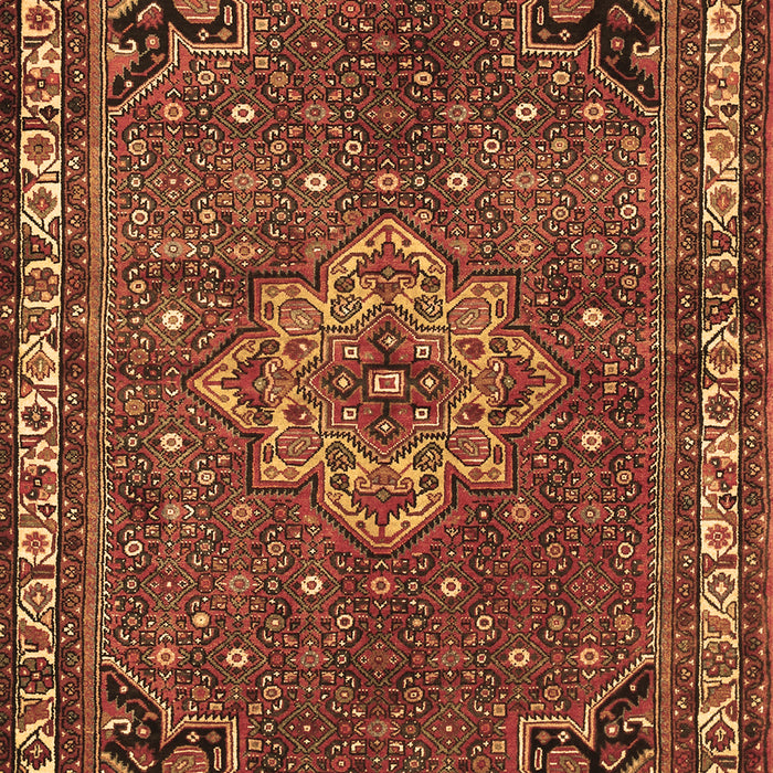 Machine Washable Persian Brown Traditional Rug, wshtr571brn