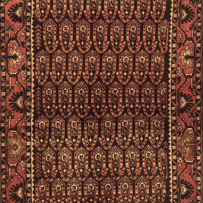 Machine Washable Persian Brown Traditional Rug, wshtr573brn