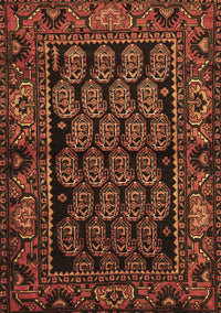 Persian Brown Traditional Rug, tr575brn