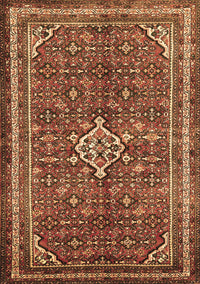 Persian Brown Traditional Rug, tr577brn