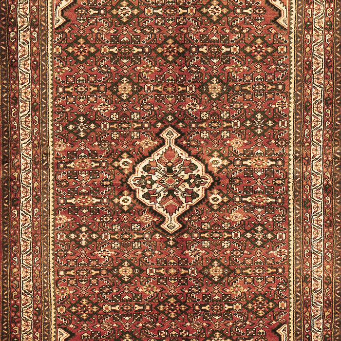 Persian Brown Traditional Rug, tr577brn