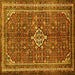 Square Machine Washable Persian Yellow Traditional Rug, wshtr577yw