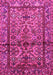 Persian Pink Traditional Rug, tr579pnk