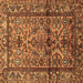 Square Machine Washable Persian Brown Traditional Rug, wshtr579brn