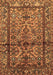 Machine Washable Persian Brown Traditional Rug, wshtr579brn