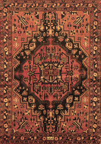 Persian Brown Traditional Rug, tr580brn