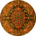 Round Persian Yellow Traditional Rug, tr580yw