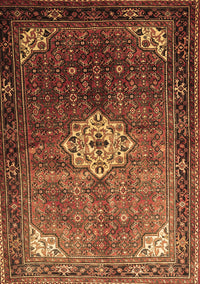 Persian Brown Traditional Rug, tr582brn