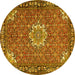 Round Machine Washable Persian Yellow Traditional Rug, wshtr584yw