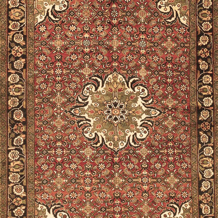 Persian Brown Traditional Rug, tr584brn