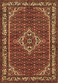 Medallion Brown Traditional Rug, tr586brn