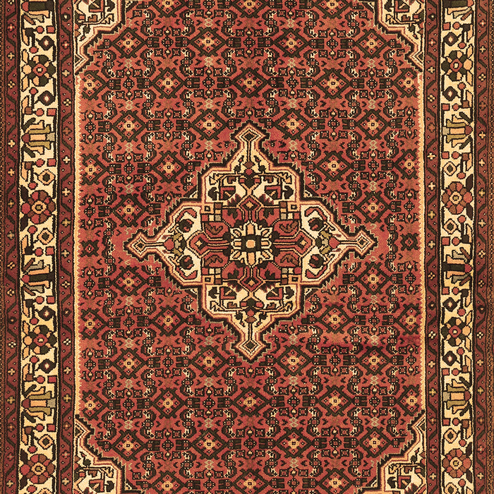 Medallion Brown Traditional Rug, tr586brn
