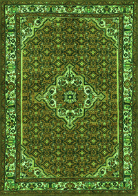 Medallion Green Traditional Rug, tr586grn