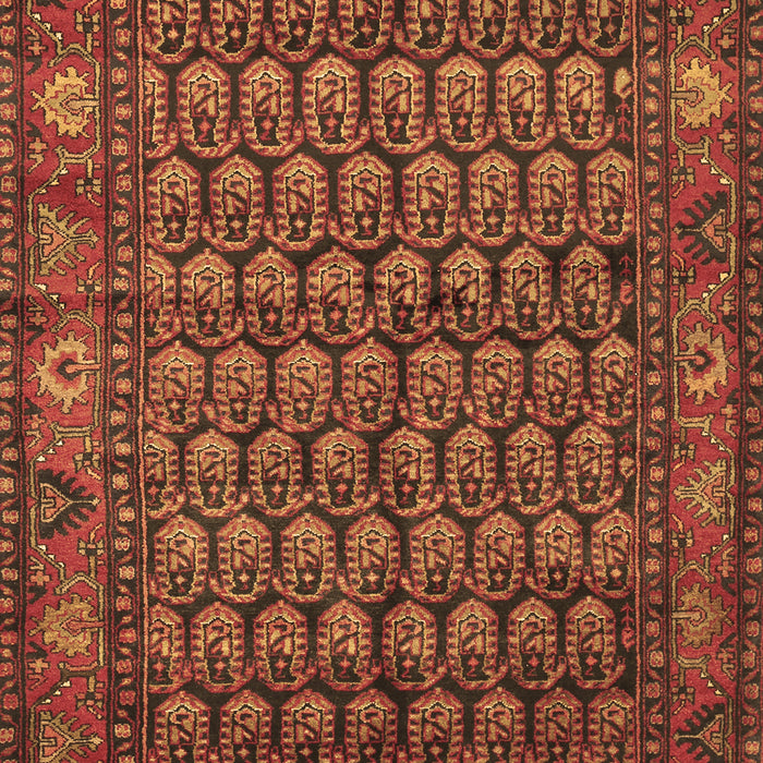 Persian Brown Traditional Rug, tr587brn