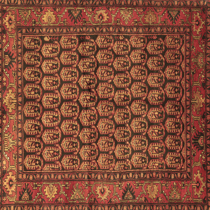 Square Persian Brown Traditional Rug, tr587brn