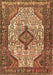 Medallion Brown Traditional Rug, tr589brn