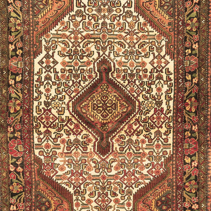 Machine Washable Medallion Brown Traditional Rug, wshtr589brn