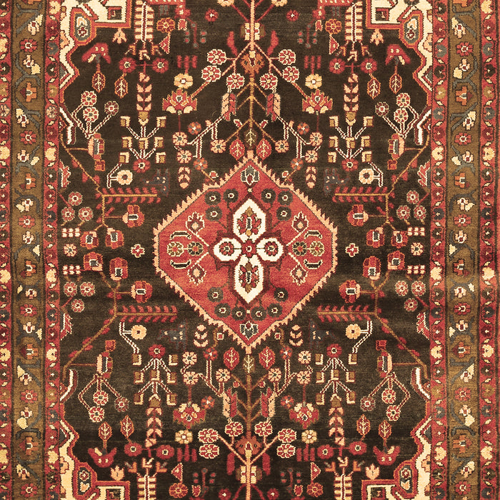 Machine Washable Persian Brown Traditional Rug, wshtr591brn