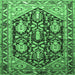 Square Persian Emerald Green Traditional Rug, tr593emgrn